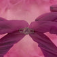 Cosmic Rose Ring